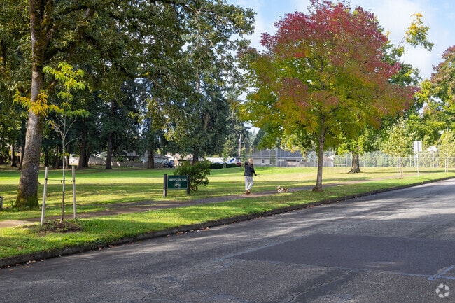 A woman walks her dog in Morningside Park.