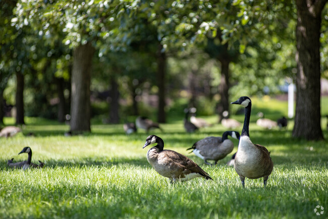 Take a walk though nature at One Pacific Place Park.