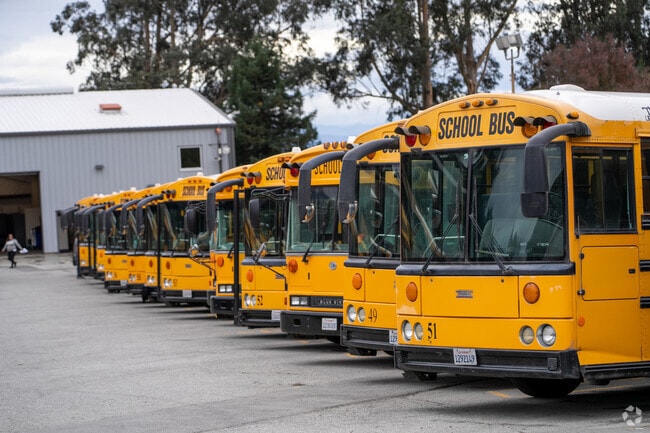 School buses poised to embark on a silent journey, awaiting the call to transport young minds.
