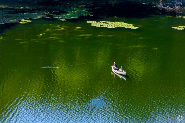 Johnson Pond offers a serene and scenic fishing spot in Groveland, known for its peaceful atmosphere and abundance of local fish species.