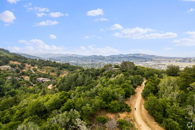 The views atop Blithedale Canyon's hiking trails are breathtaking.
