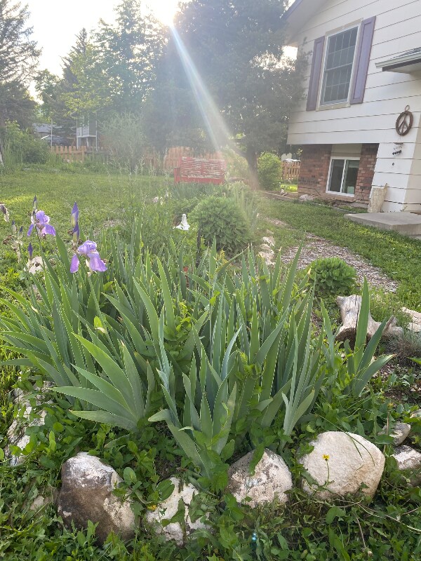 2524 W Plum St, Fort Collins, CO 80521