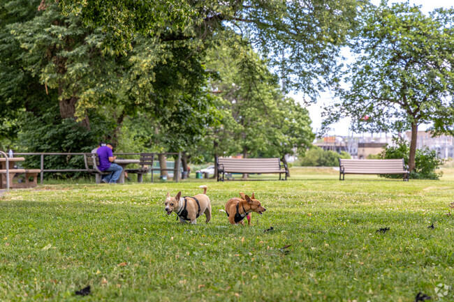 Mattano Park in Peterstown a favored spot for locals to stroll with their furry companions.