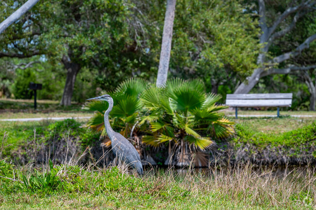 Great Blue Herons call John R. Bonner Nature Park home within the Largo Meadows Park area.