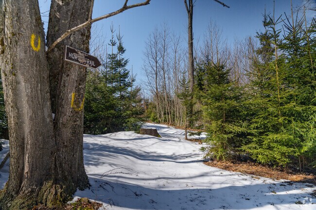 Locals walk hiking trails that span many miles around Cherry Creek.