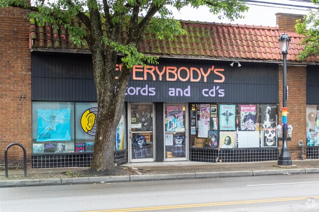 Browse bins of vintage records at Everybody’s Records in Pleasant Ridge