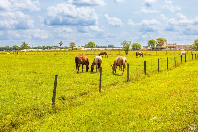 Authentic charm of Southwest Ranches with its idyllic pastures and friendly livestock.