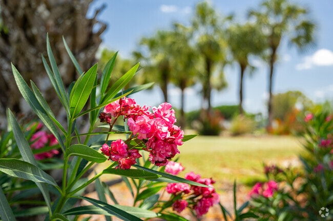 Cypress Woods is full of beautiful blooms planted along the golf course.