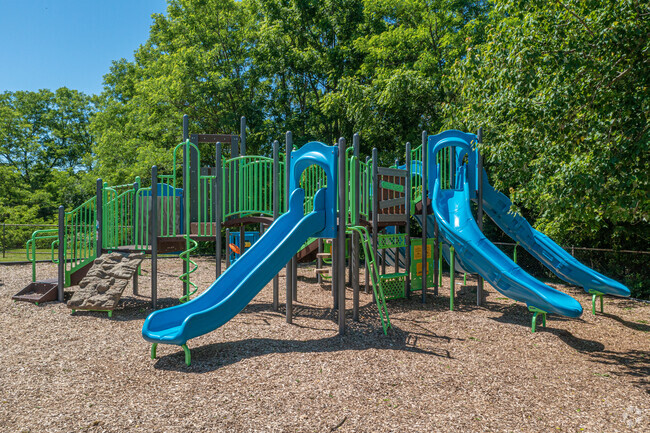 Large Slides & Jungle Gym