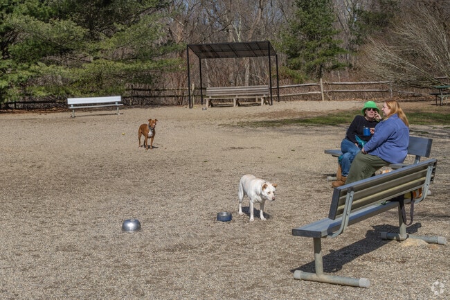 Enjoy the friendly Easton Dog Park.