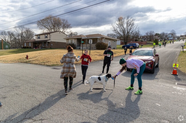 Locals bring their dogs to the Shamrock Shuffle 5k & Fun Walk.