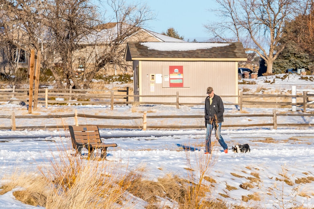Your dog will love going for a walk at Lake Elmo State Park in Billings, MT.