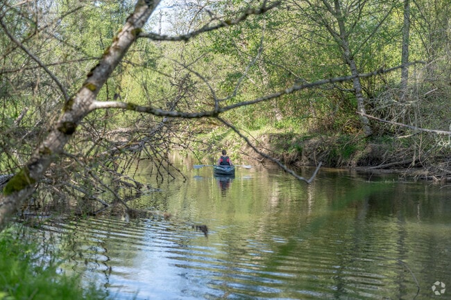 Go kayaking at Lake Sammamish State Park near Cougar Mountain.
