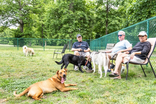 The dog park in Captain's Cove fosters furry-friend fun in Greenbackville’s family-oriented setting.