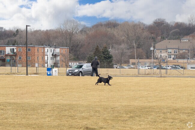 McMorrow Field is utilized year round by locals and their pets.