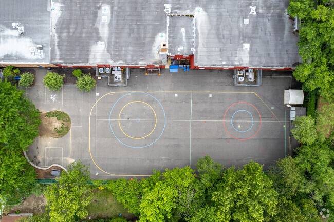 Enjoy recess surrounded by green trees at William P Tatem Elementary in Collingswood, NJ.