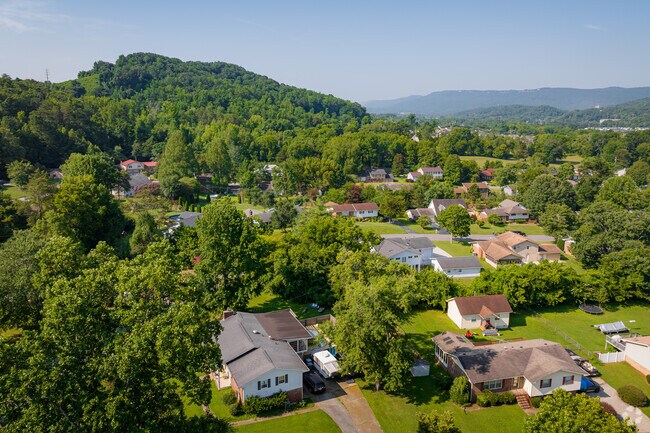 In Stuart Heights-Rivermont you can get lost in the beauty of the green hills.