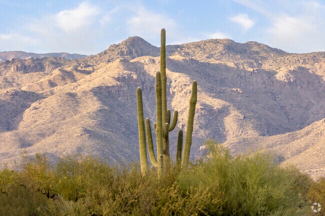 The mountain views in and around Palo Verde Park never get old.