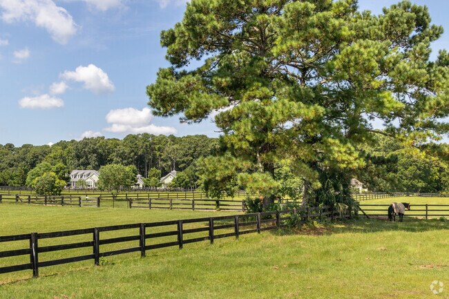 Multiple paddocks area available for horses to enjoy at Rose Hill Plantation.