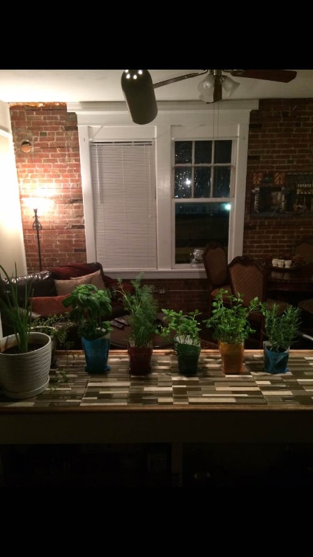 524 23rd St Unit 5, Galveston, TX 77550