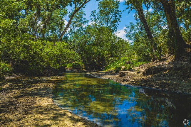 Come and enjoy the natural beauty of nature at Alafia River Reserve located in Willow Oak.
