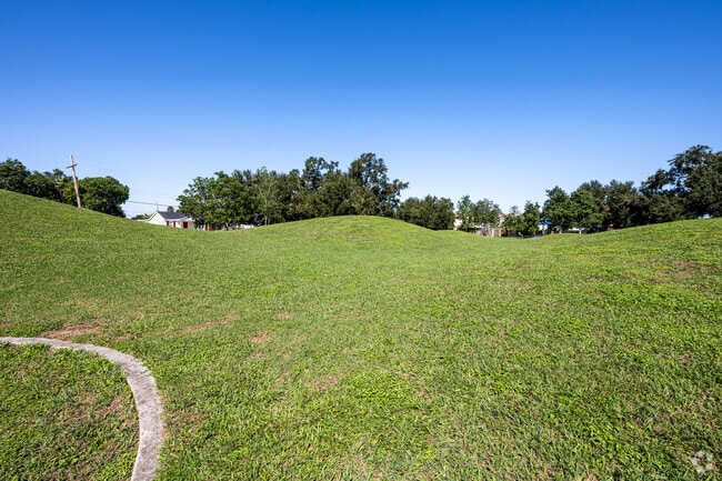 Run up and down the hills at Donnelly Playground.