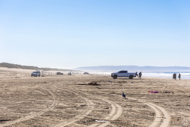 Many locals and tourists take their trucks out to the vehicular recreation area of Oceano Dunes.