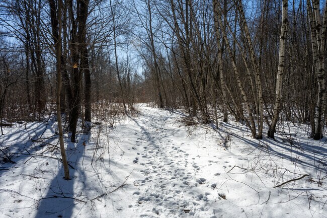 This trail is at Crow Hill Conservation in Worcester.