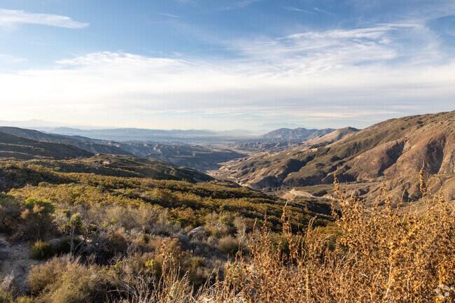 Pine Cove residents enjoy a lifestyle surrounded by nature and the quiet life on the hill.