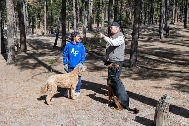 There is a dedicated area for dogs at the Fox Run Regional Park