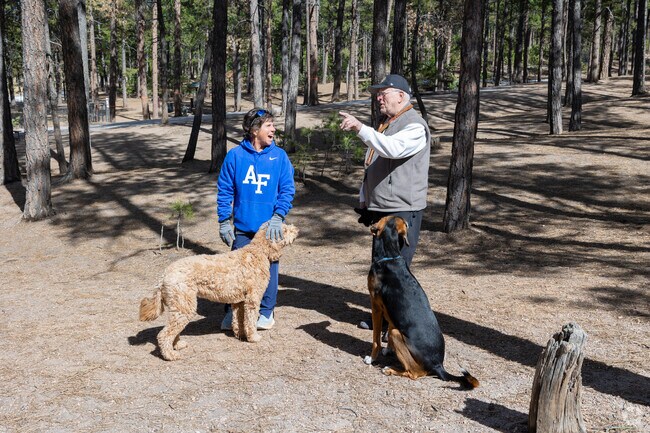 There is a dedicated area for dogs at Fox Run Regional Park.