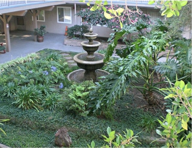Fountain in courtyard