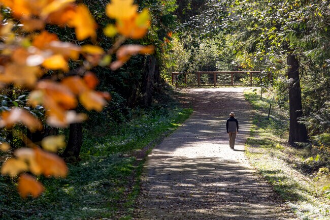 A distinguished gentleman walks along the trail for a morning jaunt in Gig Harbor North.