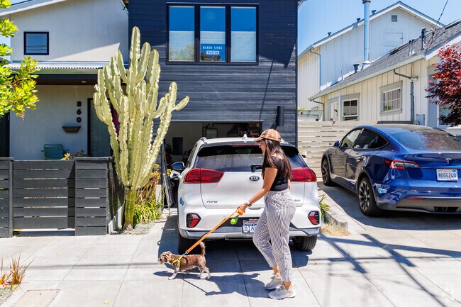 The well-maintained sidewalks in Longfellow provide a safe path for dog owners.