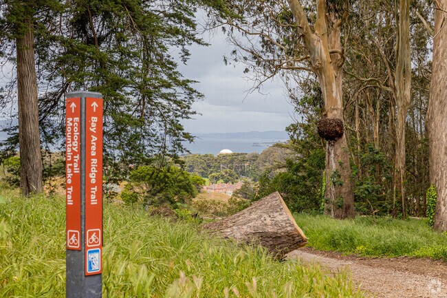 Hiking trails weave throughout the famous Presidio of San Francisco.