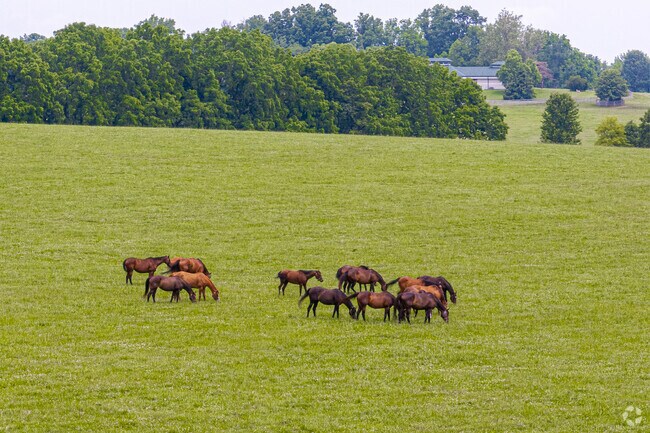 Loradale is located just 6 miles from the Kentucky Horse Park.