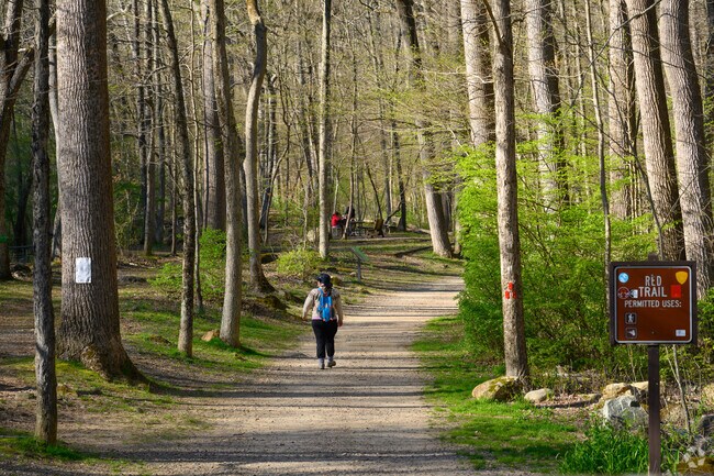 Hikers have many trails to explore at Stephens State Park in Hackettstown.