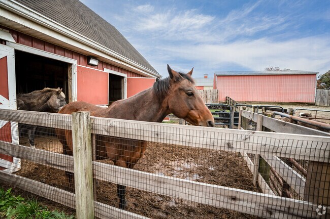 Visit the horses and other animals at Parky's Farm near New Burlington, north of Cincinnati.