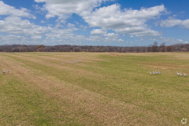 Outside downtown Olivet is mostly farmland in every direction.