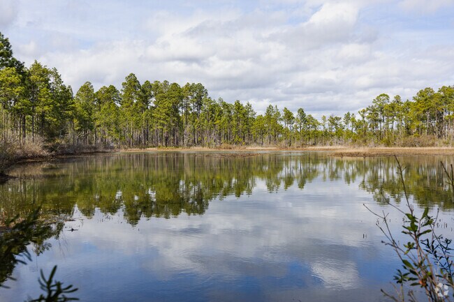 Green Swamp Preserve has stunning views along a beautiful pond near Saint James.