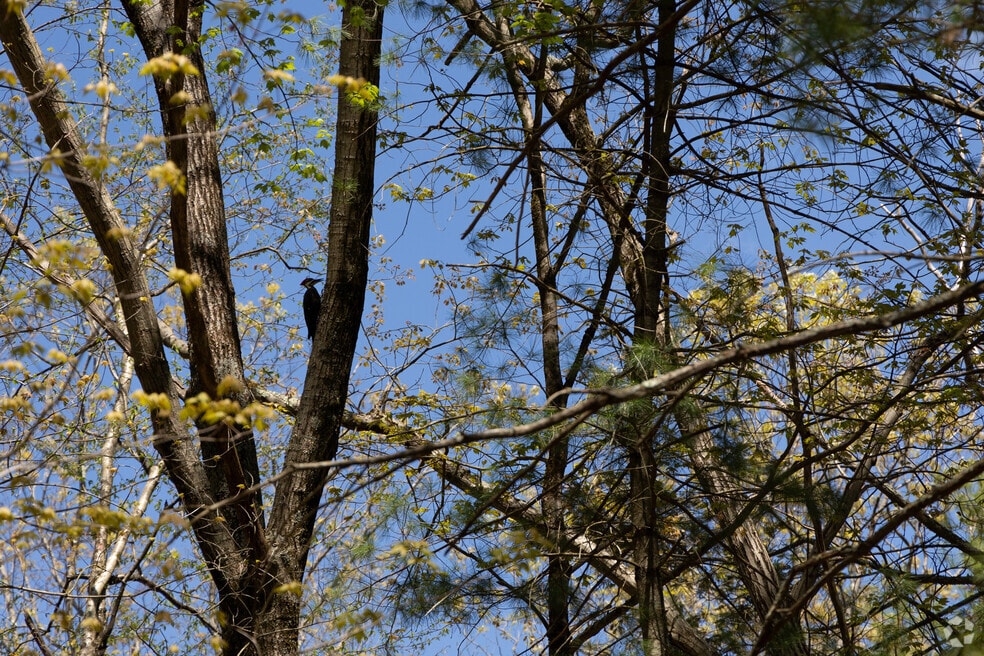 NH_SHARON_530743_P2_V1_KC_052024