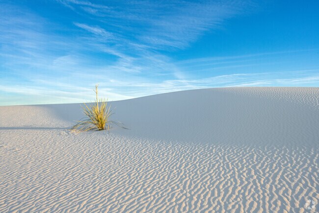 Alamogordo is located just minutes away from White Sands National Park and its 200 acres of white gypsum sand, blown into dunes by the wind.