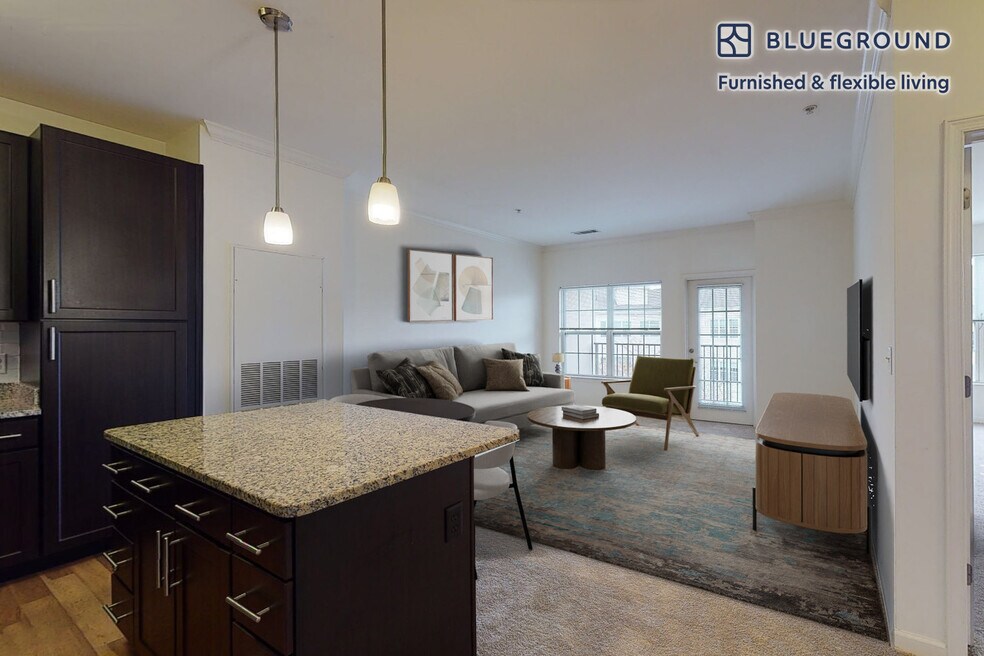 80 N Central Ave unit FL3-ID2472A, Long Island, NY 11570 - photo 1