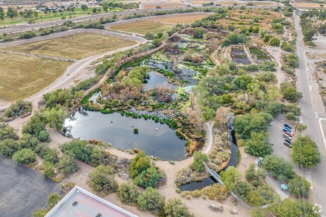 Sweetwater Wetlands Park: Tucson's natural oasis for serene wildlife encounters.