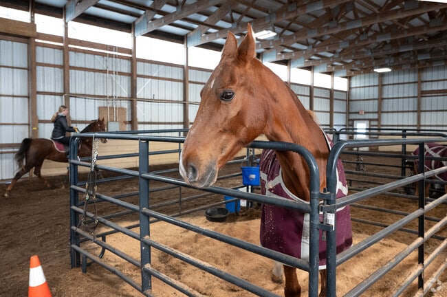 Middleborough residents learn to ride at Rocking Horse Farm.