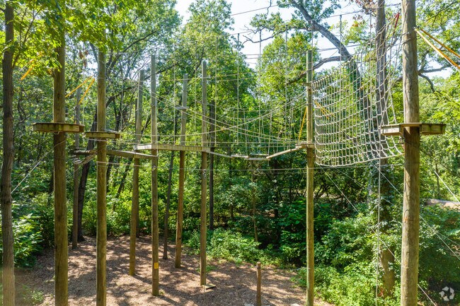 Climb the treetop High Rope Course at Iron Oaks Environmental Learning Center in Olympia Fields.