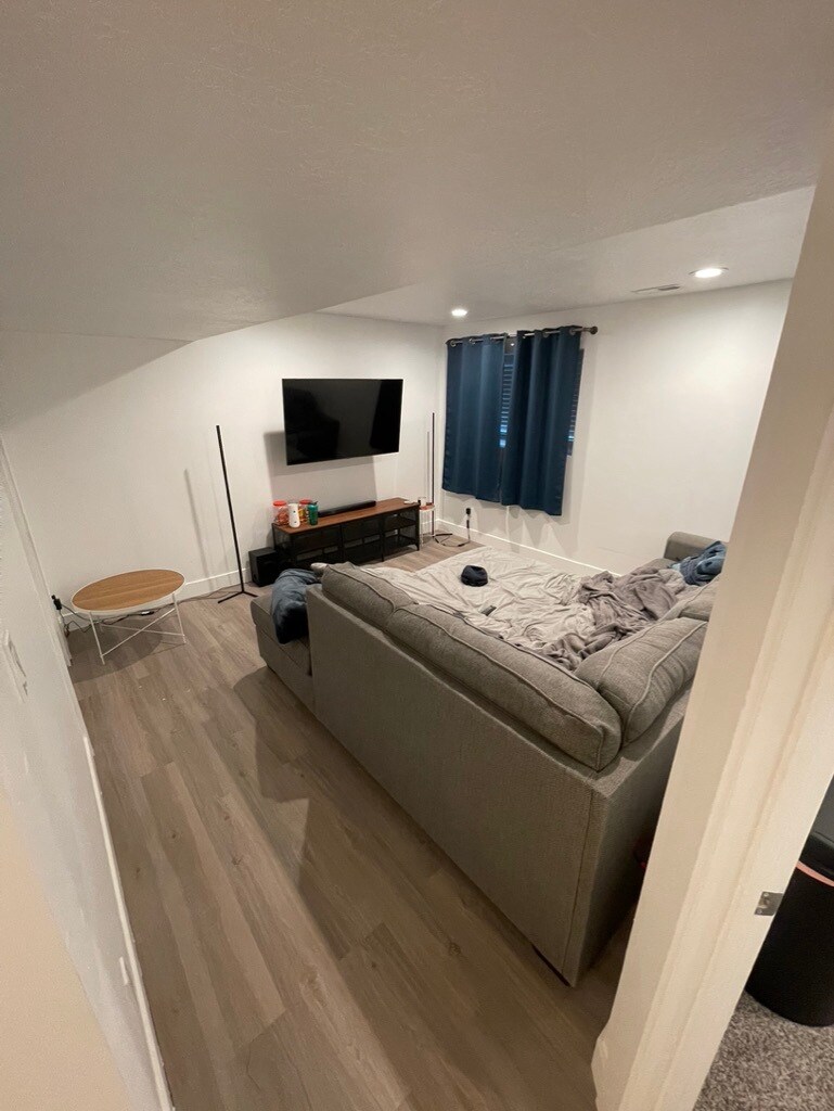 Basement Living Room