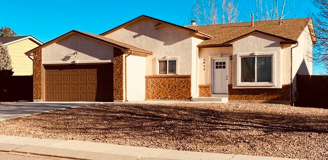 Front yard and driveway