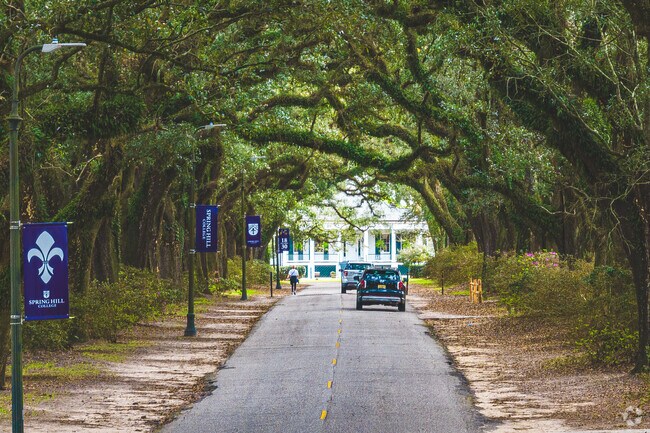 The Avenue of the Oaks is a popular walk for many Park Hill residents.