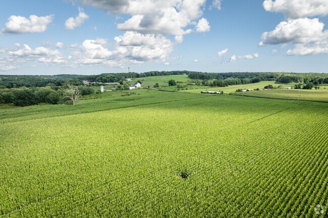 Take in stunning aerial views of Preston’s corn farms for a scenic experience.